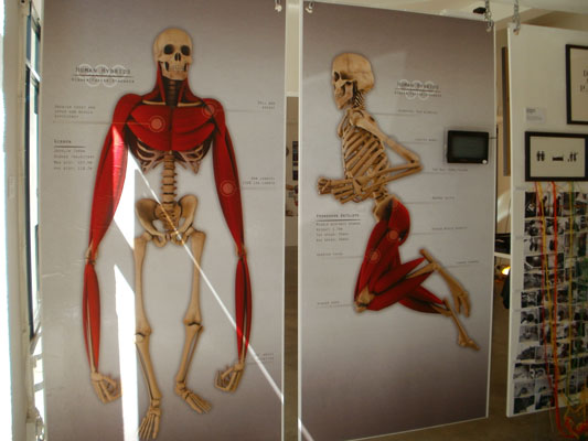 Life sized poster of pronghorn antelope and gibbon human hybrid skeletons at D&AD exhibition